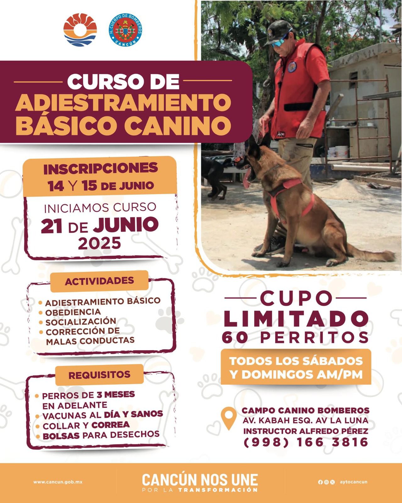 uploads/6/32/Cartel (103).jpeg